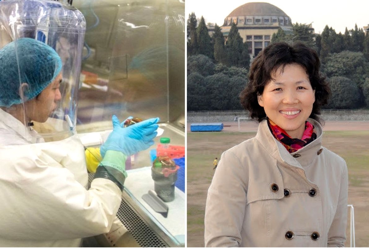 China's 'bat woman' researcher warns coronavirus is just 'tip of iceberg'
